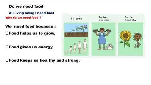Evs Class 1  Lesson 5  Do we need food
