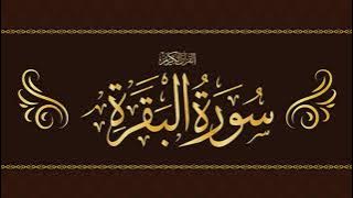 Fast Recitation of Surah Al Baqarah by Shaikh Mishary Rashid Alafasy (Without Ads)