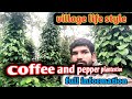 Coffee and pepper plant full information video. ಕಾಫಿ ಮತ್ತು ಮೆಣಸು ಬೆಳೆಯುವ ವಿಧಾನ. #pepper #coffee