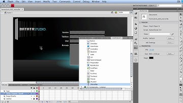 Formulario AS3 & Php Parte 3 Diseño