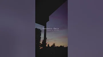 Vandebo-Hair /cover by khulnaa/