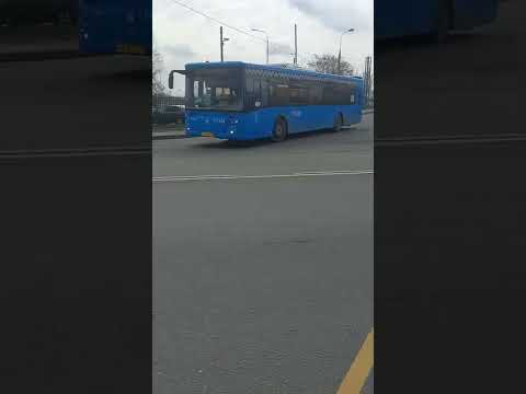 Автобус по маршруту м97