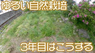 肩ひじ張らないゆるい自然栽培。3年目の畑の様子と今シーズンの育成方針