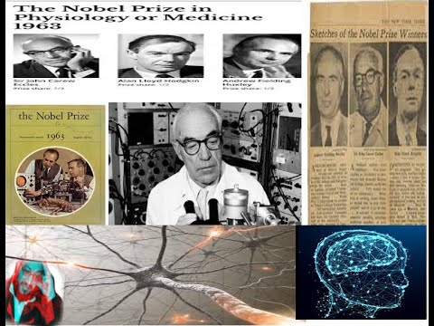 كيفية التواصل بين الخلايا العصبيه هيكسلى هديجكن إيكلس نوبل الطب 1963