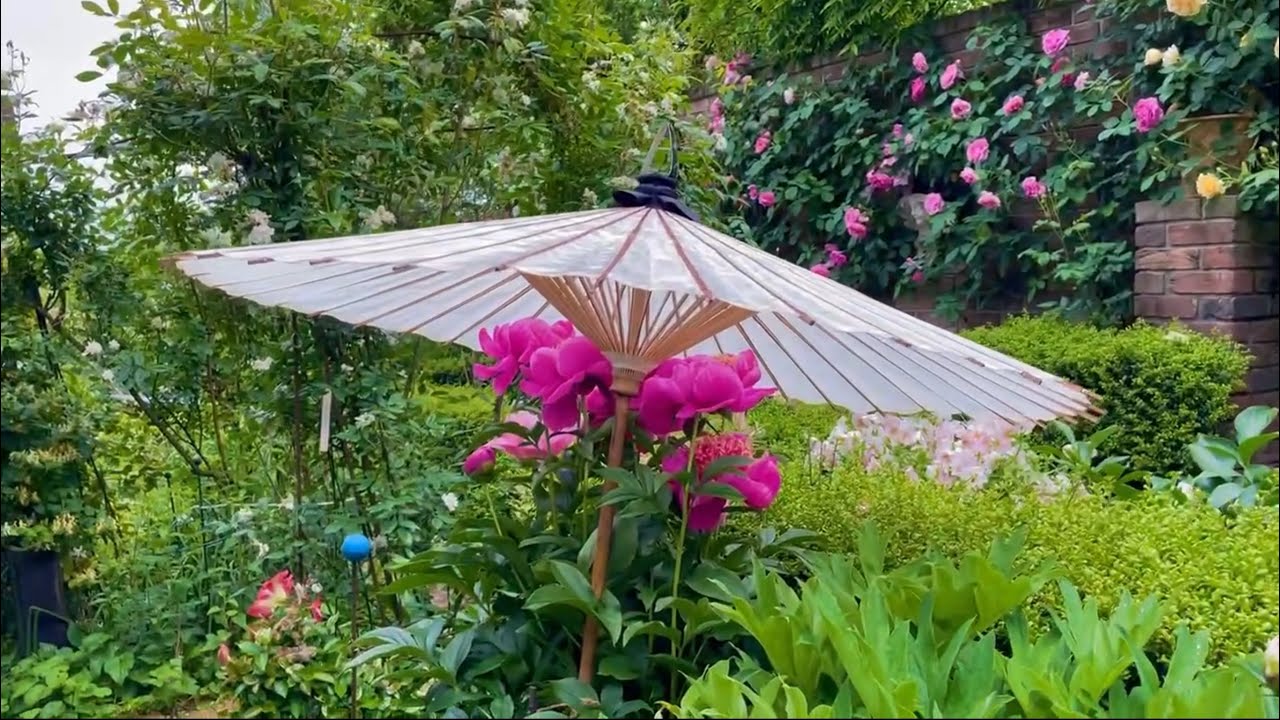 Protecting Vulnerable Plants from the Rain for Open Garden YouTube