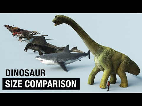 डायनासोर आणि प्रागैतिहासिक प्राण्यांच्या आकाराची 3D मध्ये तुलना!