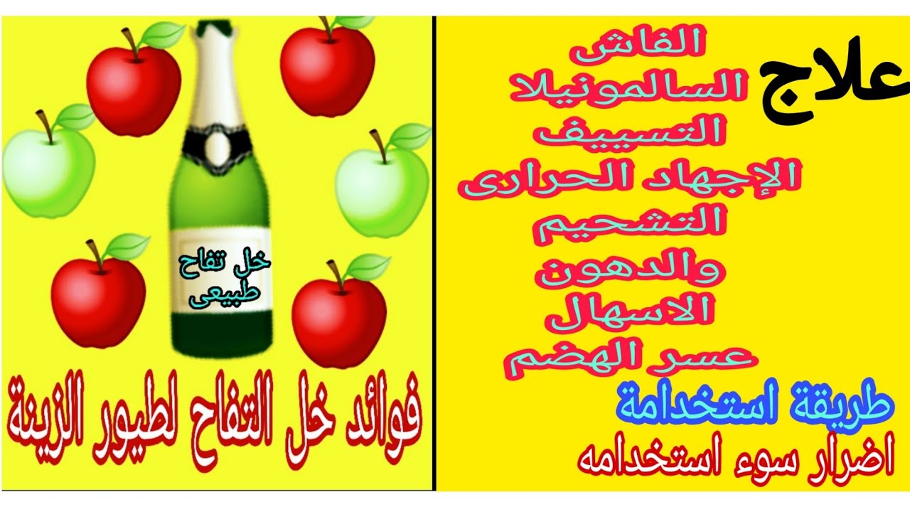 فوائد خل التفاح لطيور الزينة وطرق تقديمه واضرار سوء استخدامه