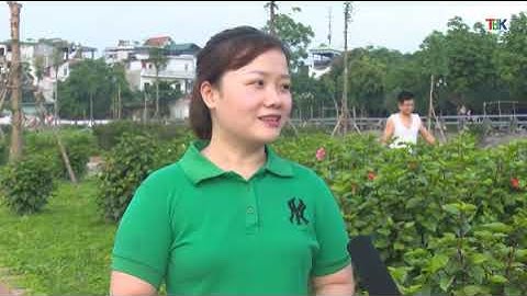 29 5 Thời sự  tối   Đài PT&TH Bắc Kạn. khai mạc hoạt động hè, ngày hội thiếu nhi bắc cạn