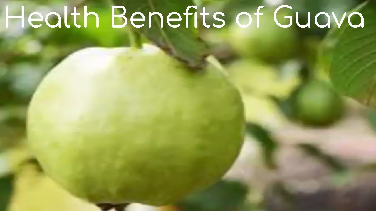 Amazing Health Benefits of Eating Guava, Health Benefits of Eating Guava,Guava Fruit Health