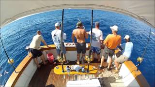 Wahoo and Groupers off Port Canaveral