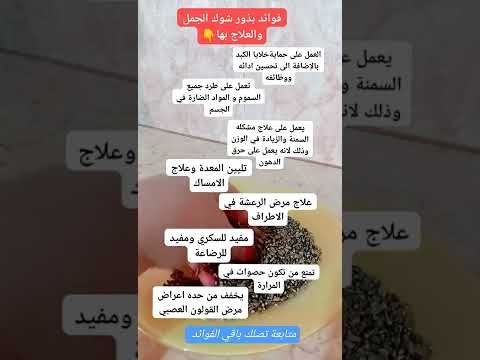 فوائد بذور شوك الجمل