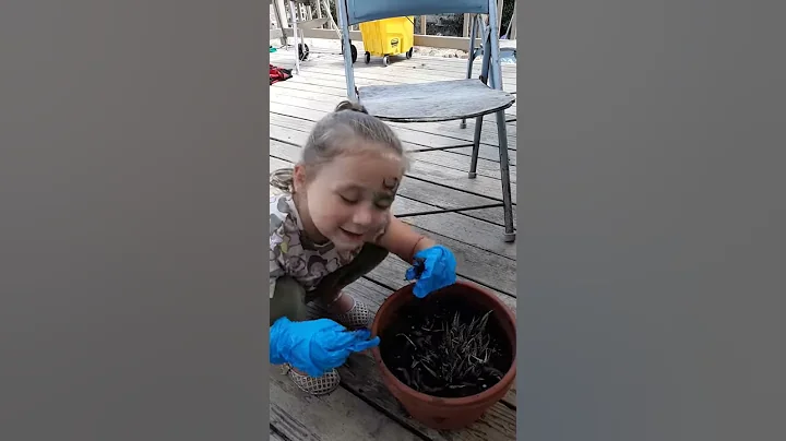 Mia the Incredible!