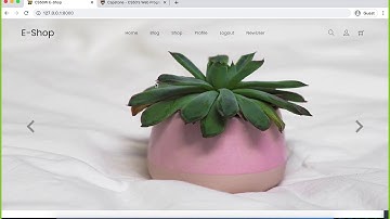 CS50W Final Project  (Capstone)