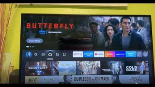 43 inch Vizio 4K TV