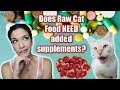 Does homemade raw cat food NEED supplements added? - Caturday Conversations (Cat Lady Chat) 😻