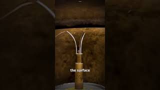 Celebrity How Bouncing Betty’s Work 🫨 Profile