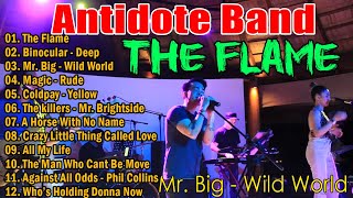 Antidote Band Nonstop Collection Best Cover Songs - Antidote Band Medley English Hits Songs 2024