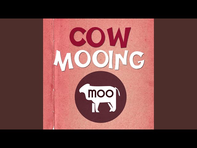 Cow Moo Sound Effect class=