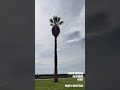 Santa Barbara Beach Walk | Peaceful California Ocean View | Homi’s Quiet Days#californiatravel