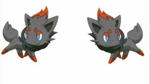 Zoru-Zoroarkward