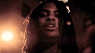 Waka Flocka Flame - Live By The Gun - Official Video