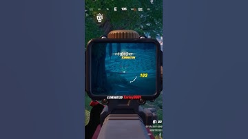 Clean, Quiet, and Deadly: DMR Double Kill Domination! (@NagelTubeHD Solo Match!) #shorts #gaming