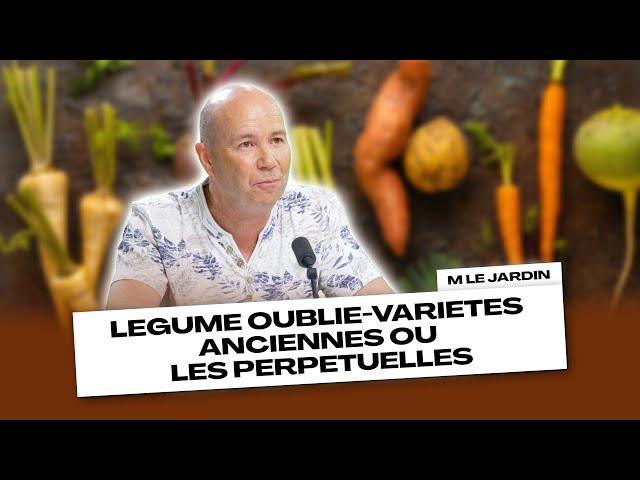 Ce légume oublié adore la chaleur, ne se fait jamais attaquer et se cuisine en tout