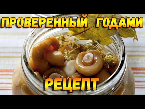 СОЛЕНЫЕ КУЛАЧКИ Рецепт. Как солить грибы. Простой рецепт соленых кулачков.