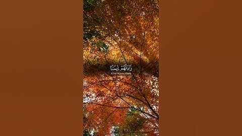 إنما المؤمنون الذين إذا ذكر الله وجلت قلوبهم #رسالة_من_الله #تلاوة_خاشعة #قرآن #لايك #short