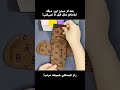 چطور حرفه ای ها لباس تا می کنن