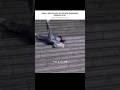 Them~ How you fell in love...||#shorts#viralshorts#shortsfeed#trending#ytshorts#fypシ゚viral#aesthetic