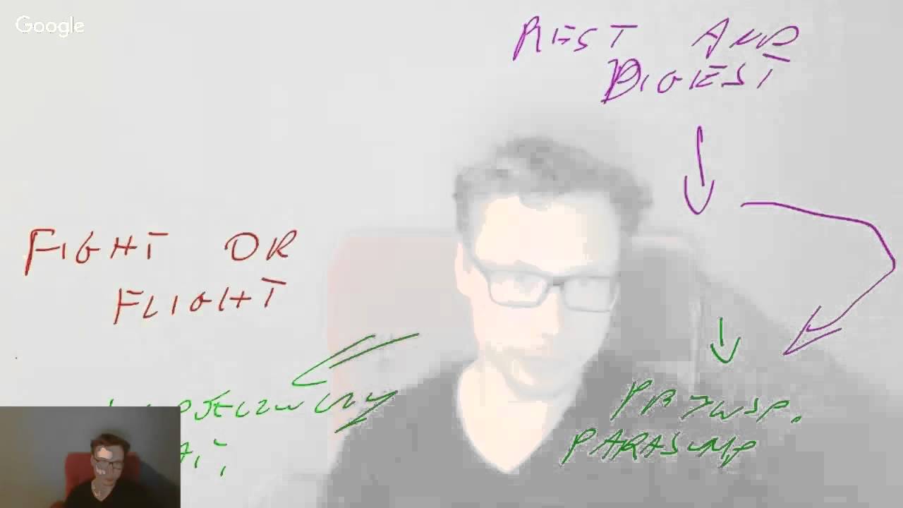 Darmowe Korepetycje z Biologii: Układ nerwowy — Transcript