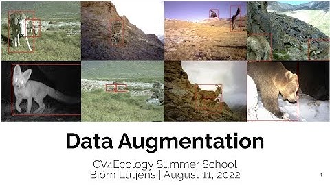 Lecture 9: Data Augmentation (Bjorn Lutjens)
