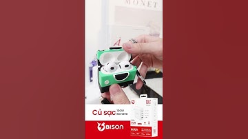 Củ sạc nhanh BISON BCH390 4 cổng sạc (1A+3C) 100W chuẩn US