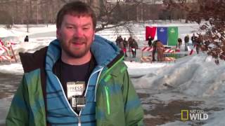 THE INCREDIBLE DR  POL   Dr  Pol Blog  Behind the Plunge