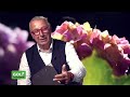 Magazine 575 del 27 maggio 2026 ospite FLAVIO SICCARDI