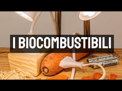 Video: Profilazione Molecolare Di Un'alga Trebouxiocea Oleaginosa Parachlorella Kessleri Soggetta A Deprivazione Di Nutrienti Per Una Maggiore Produzione Di Biocarburanti