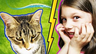 Мой Кот Спас Мне Жизнь 10 Фактов Кот Тигра | Мисс Ариана и Pet Cat Мой Кот Спас Мне Жизнь 10 Фактов Кот Тигра | Мисс Ариана и Pet Cat