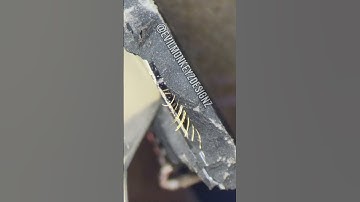 CCU #269: Graychip Digital Receiver