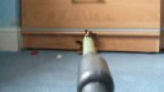 Snickers Advert Speedwalking