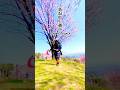 上越の四季を楽しもうぞ！Let us enjoy the four seasons of Joetsu!