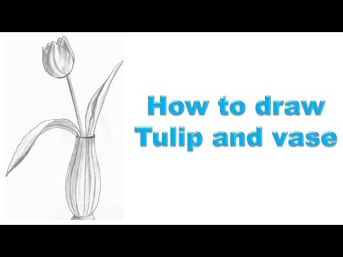 How to draw a tulip and vase - YouTube