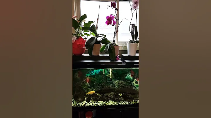 My Favorite Hobbies