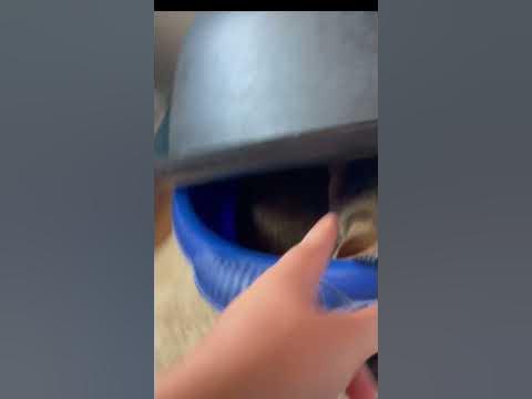 Шлёпа в двойном тазике 🙀 - YouTube