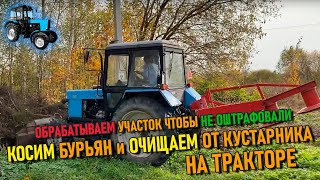 Как мы боремся с природой | Косим бурьян и очищаем от зарослей участок 4,5 гектара на тракторе 🚜