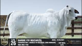 LOTE 26 MUC 1103