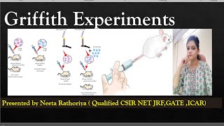 Avery Macleod and McCarty experiment