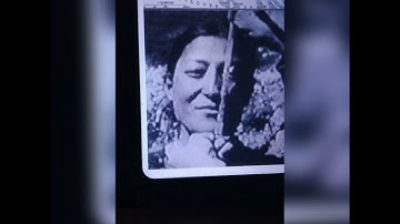 Search of mudfossil and giants in the 1930