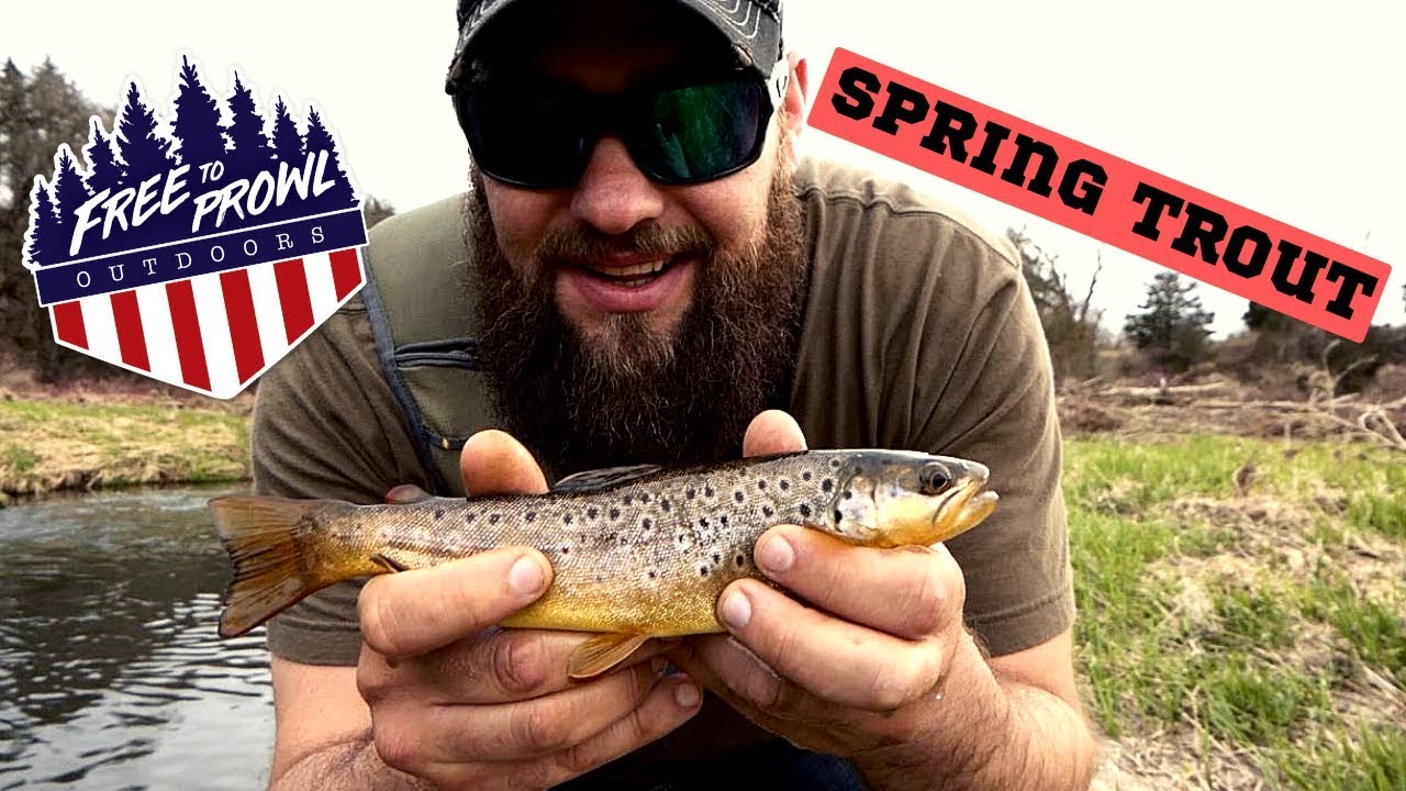 Early Trout Excitement, SW Wisconsin YouTube