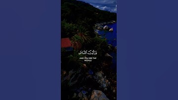 قران كريم 💙🌸 سورة:النصر☘️ القارى: ياسر الدوسري💙